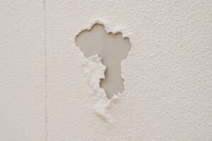 外壁の劣化は家の躯体劣化につながります。