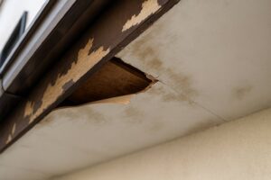 雨漏りによって軒天が腐食し、木部が露出している日本家屋の劣化状態