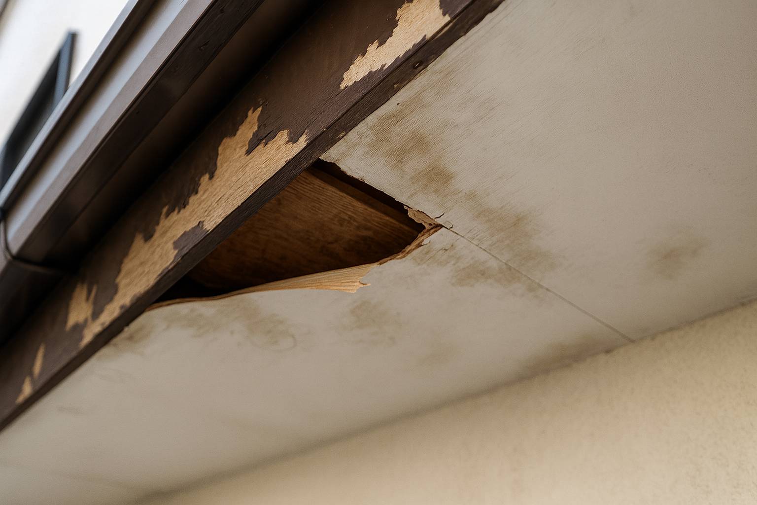 雨漏りによって軒天が腐食し、木部が露出している日本家屋の劣化状態